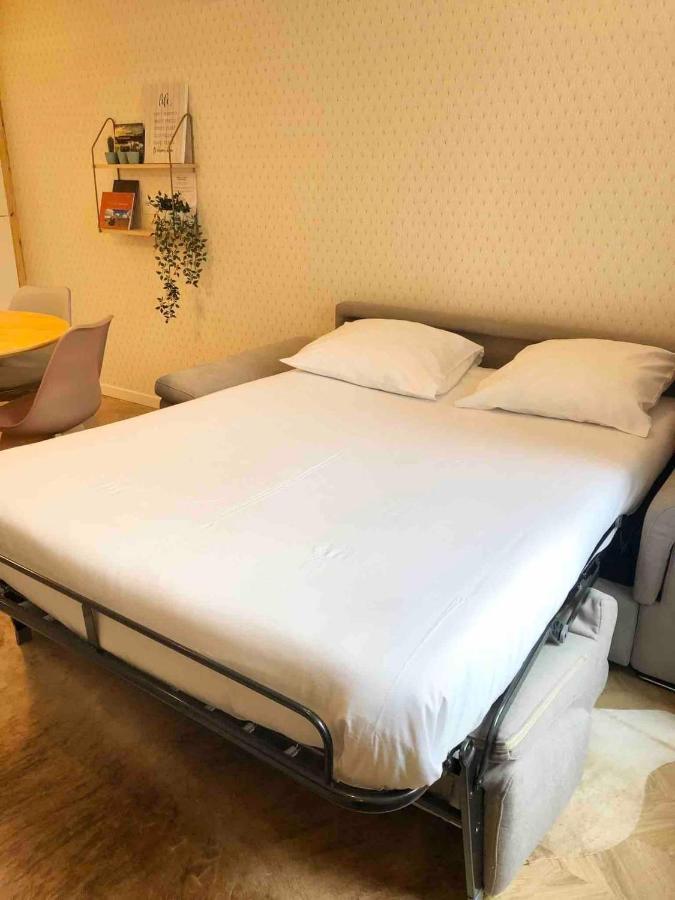 Villa Noellet - Clermont Ferrand Aubiere Ngoại thất bức ảnh